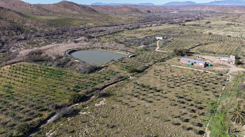 0 Bedroom Property for Sale in Ladismith Western Cape